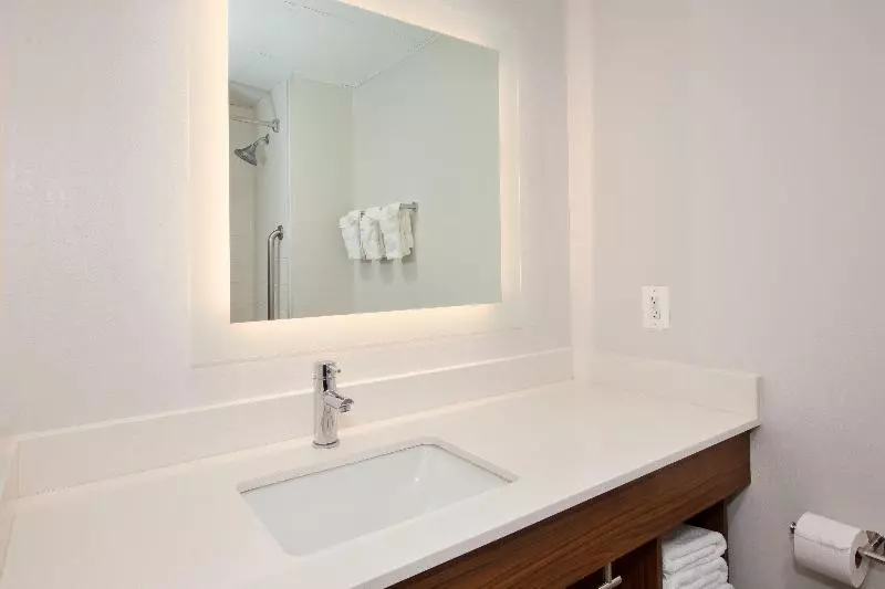 キングサイズベッドのスイートルーム, Holiday Inn Express Hotel & Suites Warrenton, An Ihg
