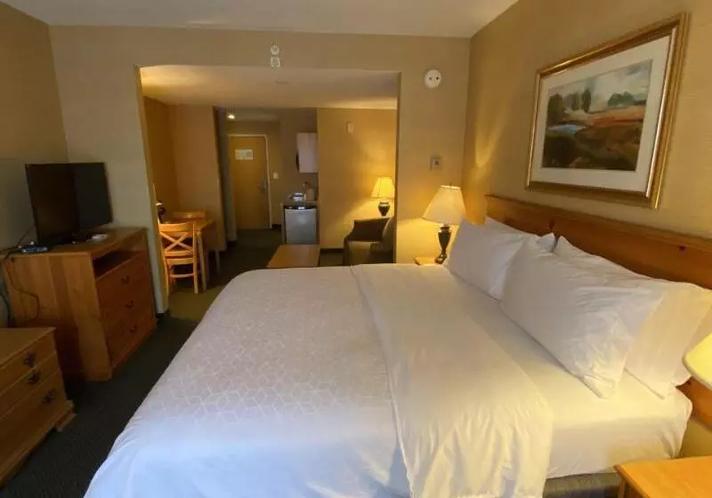 キングサイズベッドのスイートルーム, Holiday Inn Express Hotel & Suites Warrenton, An Ihg