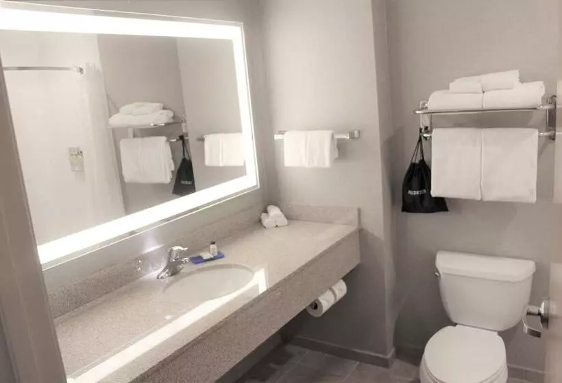 Sviitti, Holiday Inn Express & Suites Cheney, An Ihg
