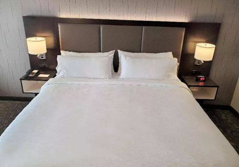 Standard-invahuone King-vuode, Holiday Inn Express & Suites Cheney, An Ihg