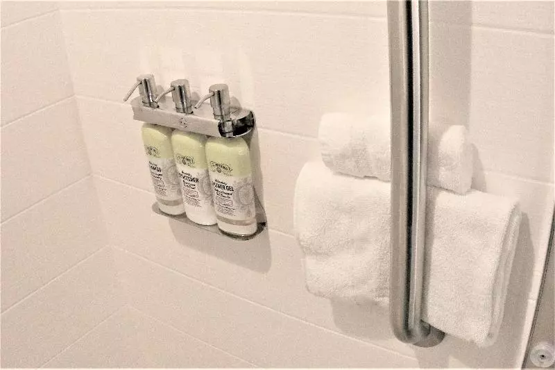 Standard-invahuone King-vuode, Holiday Inn Express & Suites Cheney, An Ihg