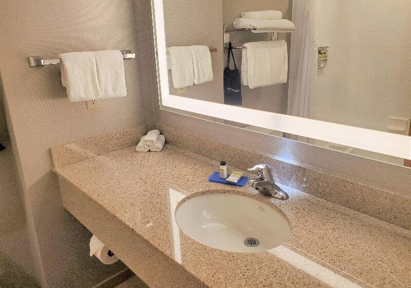 غرفة قياسية سرير كينج لذوى الإحتياجات الخاصة, Holiday Inn Express & Suites Cheney, An Ihg