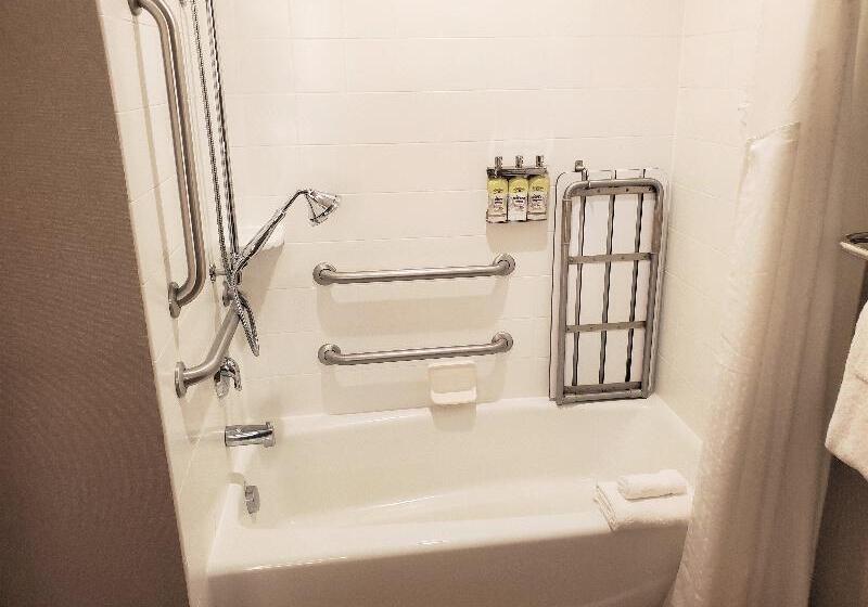 غرفة قياسية سرير كينج لذوى الإحتياجات الخاصة, Holiday Inn Express & Suites Cheney, An Ihg