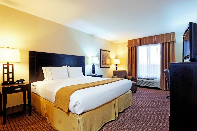 غرفة قياسية سرير كينج, Holiday Inn Express & Suites Ozona, An Ihg