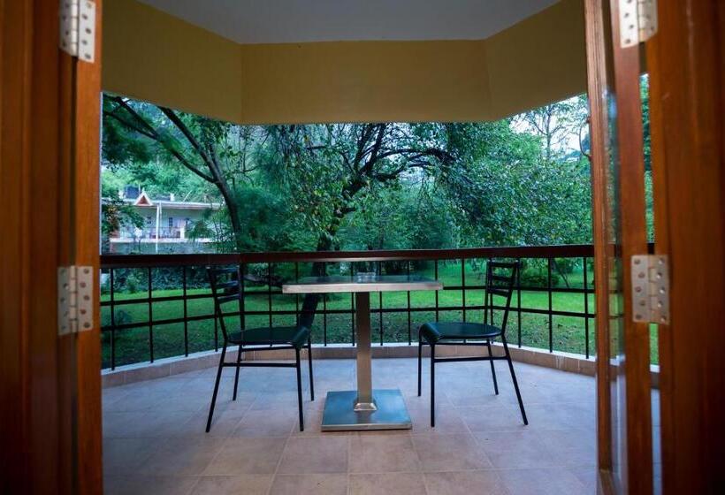 سوییت جونیور, Kodai International