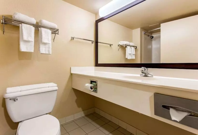 スイート, Quality Inn & Suites