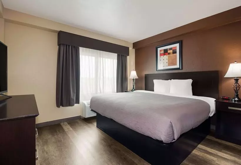スイート, Quality Inn & Suites
