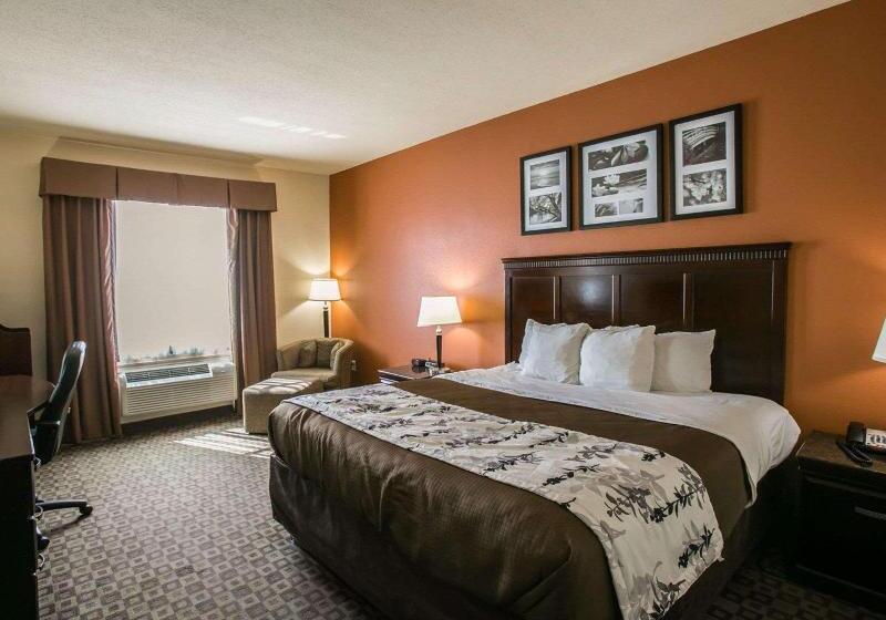 اتاق استاندارد با تخت بزرگ, Sleep Inn & Suites Hwy 290 Nw Freeway