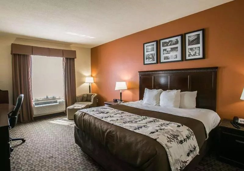 キングサイズベッドのスタンダードルーム, Sleep Inn & Suites Hwy 290 Nw Freeway