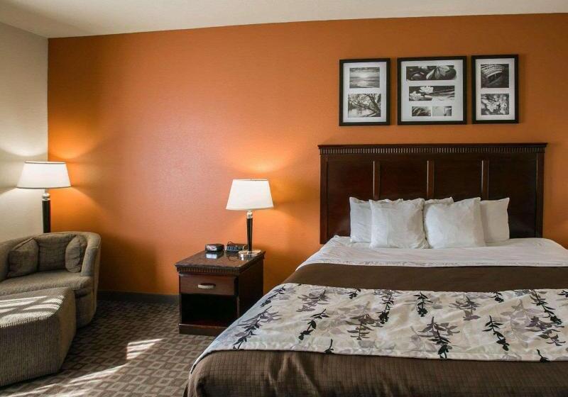 스탠다드 룸 킹사이즈 침대, Sleep Inn & Suites Hwy 290 Nw Freeway