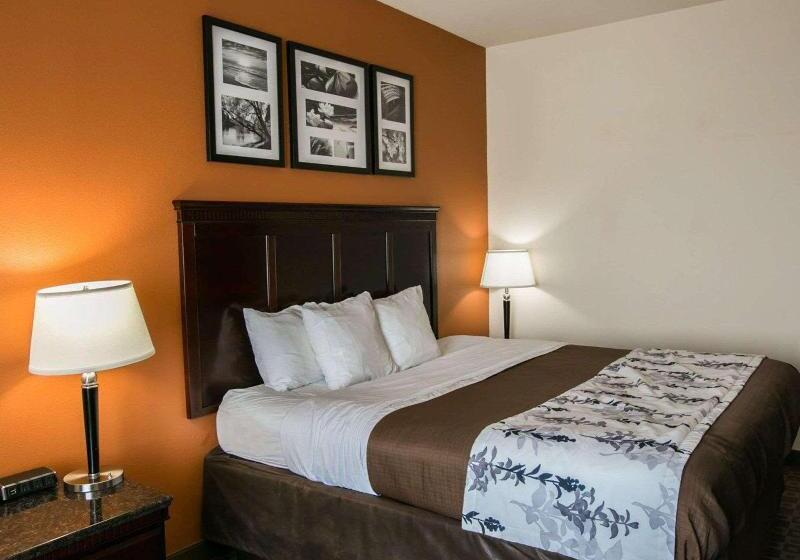 스탠다드 룸 킹사이즈 침대, Sleep Inn & Suites Hwy 290 Nw Freeway