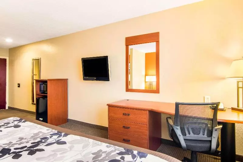 سوئیت با تخت بزرگ, Sleep Inn & Suites