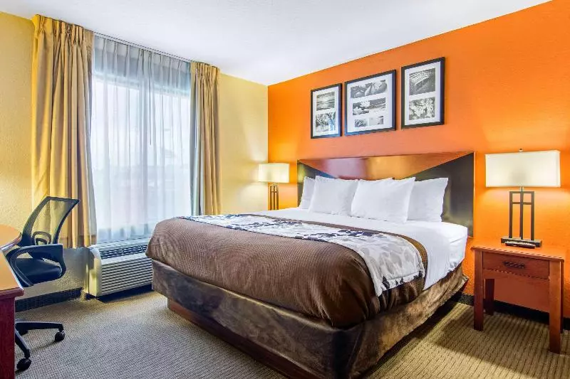 سوئیت با تخت بزرگ, Sleep Inn & Suites