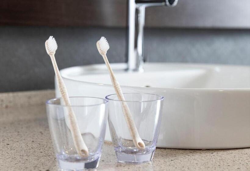 スタンダードルーム, Tokyu Stay Shimbashi  Ginza Area