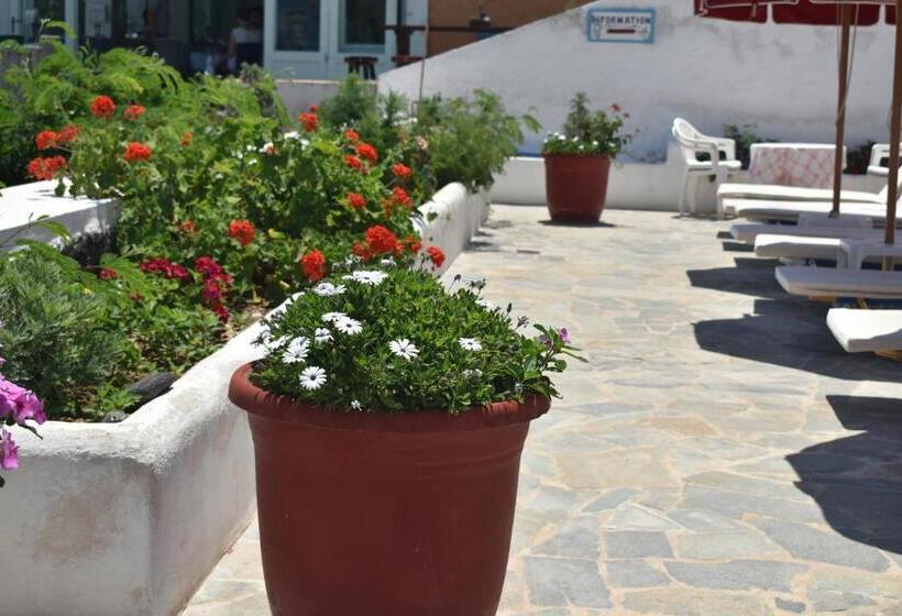 Estudi Estàndard Vista Mar, Ostria Beach Studios