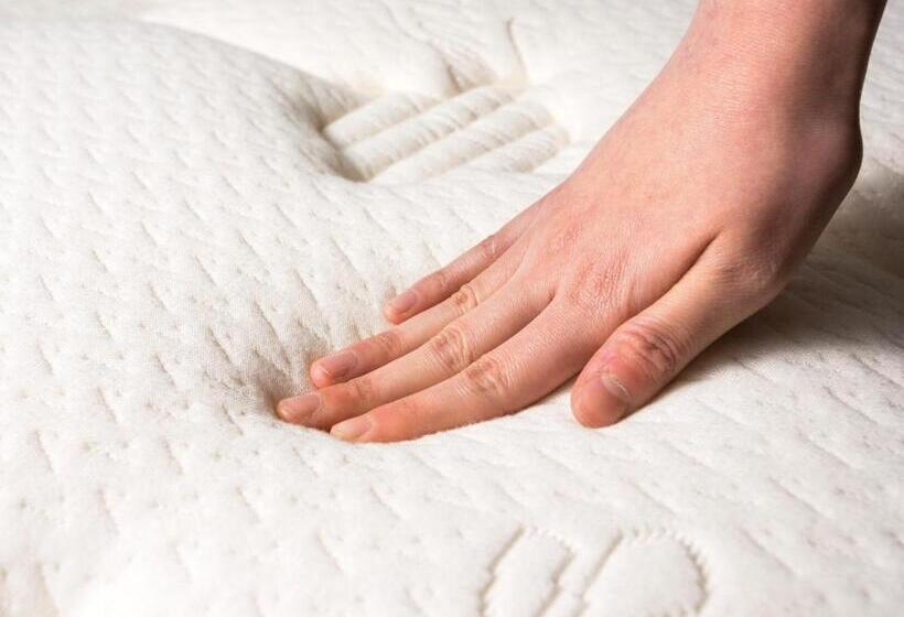 标准单人间, Apa Hotel Takamatsu Airport