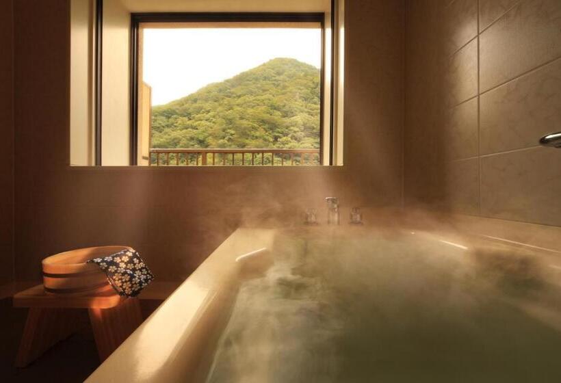 חדר סטנדרט, Asaya