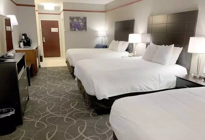 スタンダードルーム, Best Western Limestone Inn And Suites