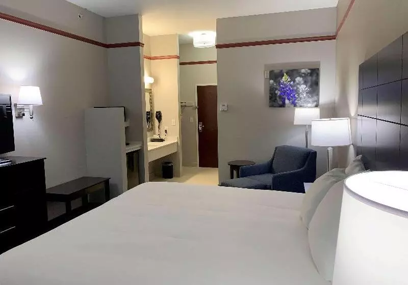 キングサイズベッドのスタンダードルーム, Best Western Limestone Inn And Suites