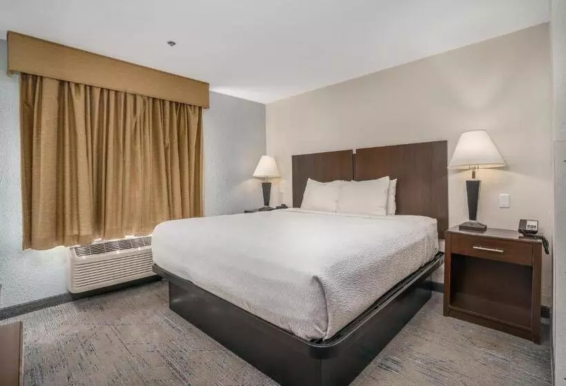 キングサイズベッドのスタンダードルーム, Best Western Plus Silver Creek Inn