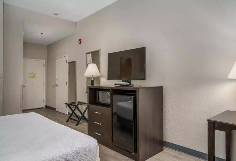 身障者適用キングサイズベッドルーム, Best Western Plus Silver Creek Inn