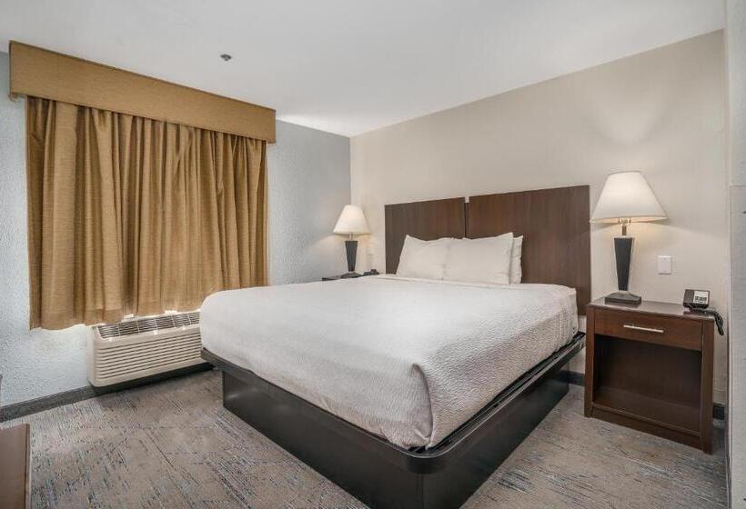 身障者適用キングサイズベッドルーム, Best Western Plus Silver Creek Inn