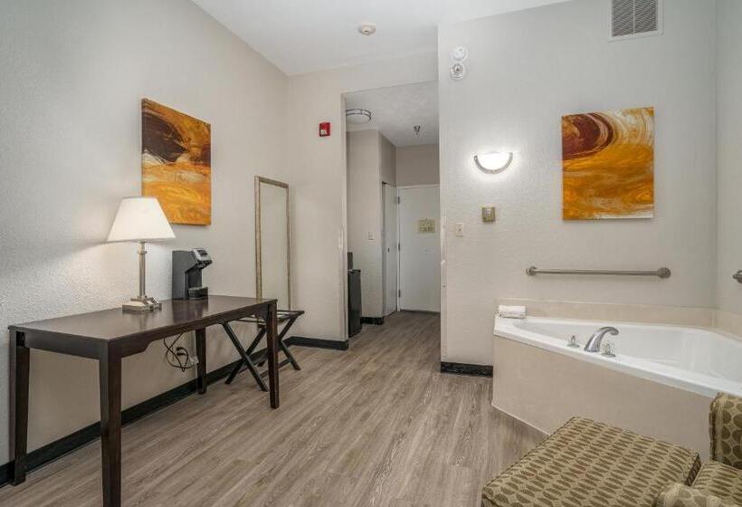 Номер Стандарт Кровать Кинг Адаптированный для Инвалидов, Best Western Plus Silver Creek Inn