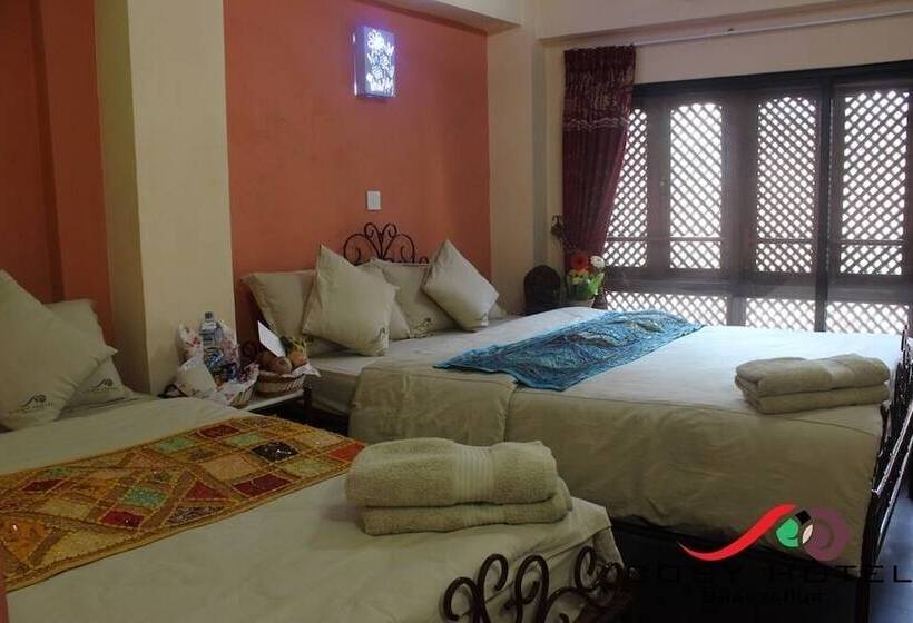 اتاق سوپریور, Cosy