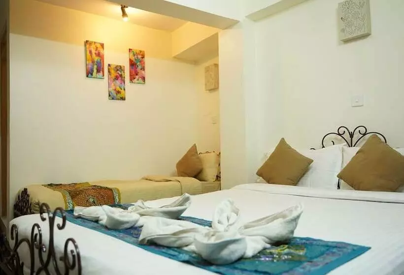 اتاق سوپریور, Cosy