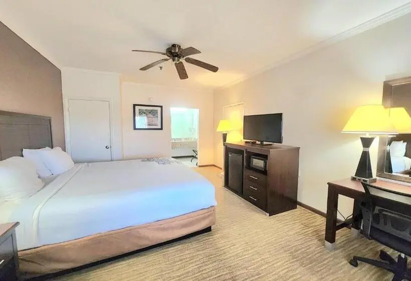 キングサイズベッドのデラックススイート, Days Inn By Wyndham Navasota