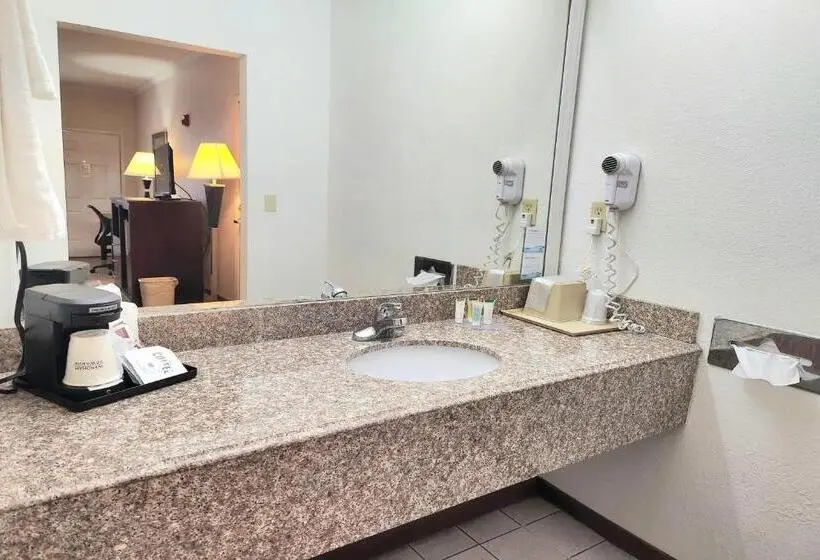 キングサイズベッドのデラックススイート, Days Inn By Wyndham Navasota