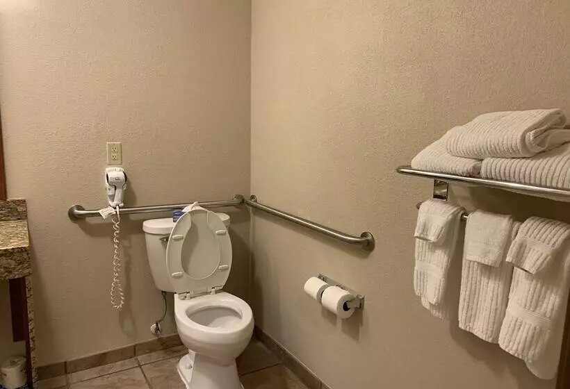 スタンダードスタジオ, Candlewood Suites Jonesboro, An Ihg