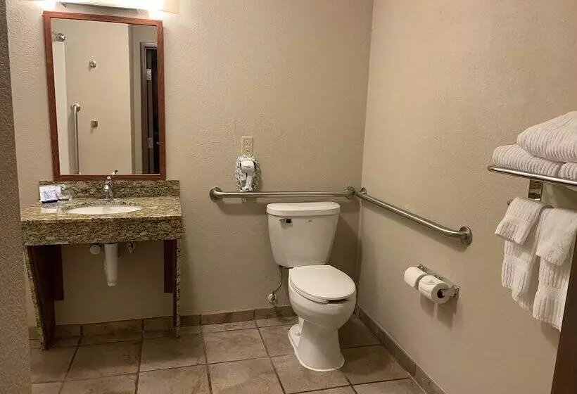 スタンダードスタジオ, Candlewood Suites Jonesboro, An Ihg