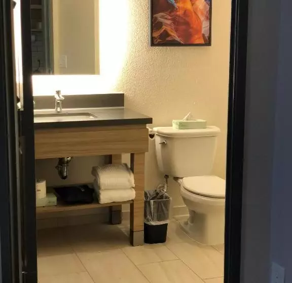 スタンダードスタジオ, Candlewood Suites Mount Pleasant, An Ihg
