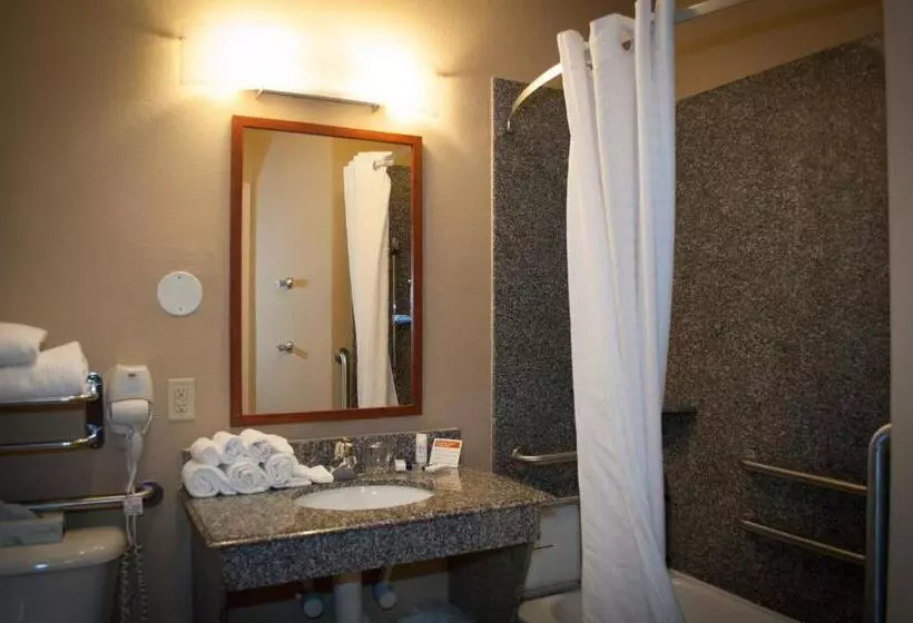 スタンダードスタジオ, Candlewood Suites New Iberia, An Ihg