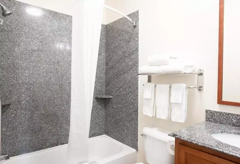 デラックススタジオ, Candlewood Suites New Iberia, An Ihg