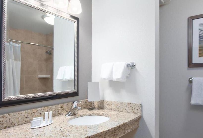 غرفة قياسية, Courtyard By Marriott Corpus Christi