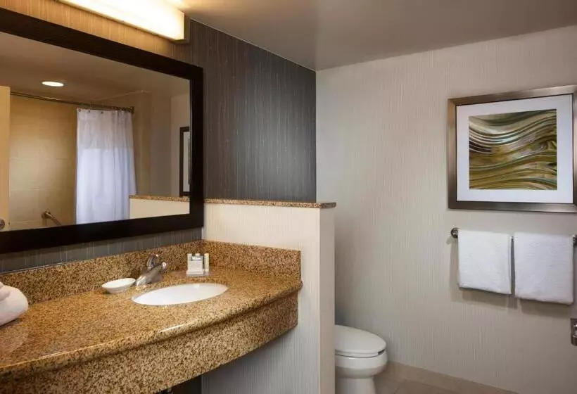 Standard-huone, Courtyard By Marriott Corpus Christi