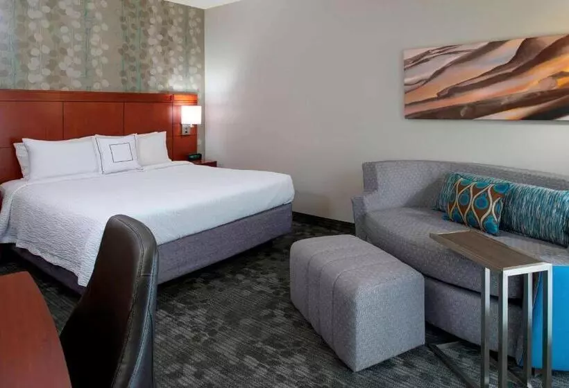 身障者適用キングサイズベッドルーム, Sonesta Select Kansas City Airport Tiffany Springs
