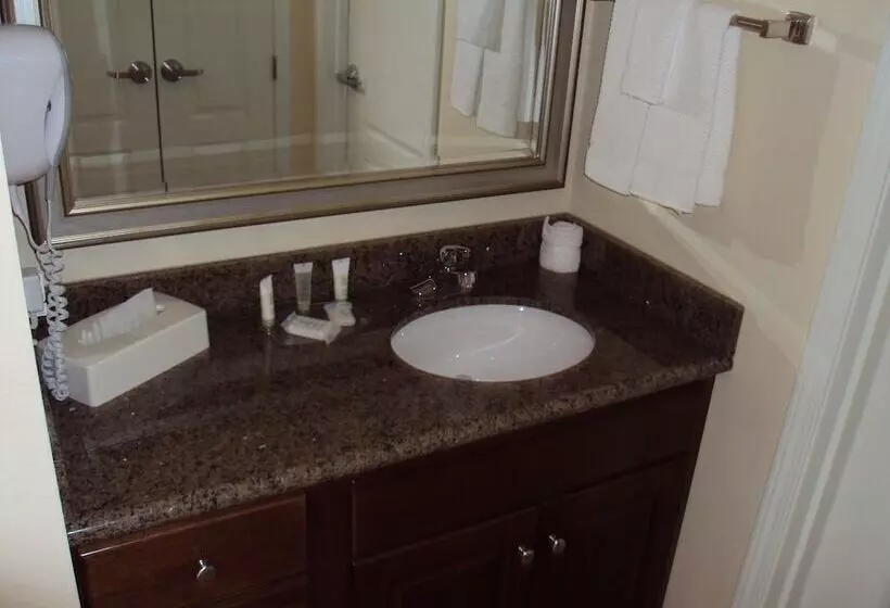 ダブルベッドのスタンダードスタジオ, Staybridge Suites Indianapolis Carmel, An Ihg