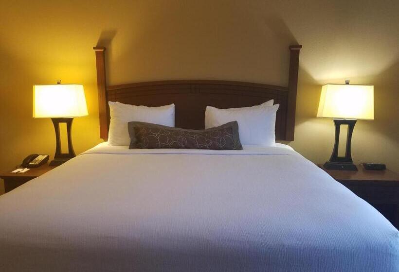 جناح سرير كينج, Staybridge Suites Rogers   Bentonville, An Ihg