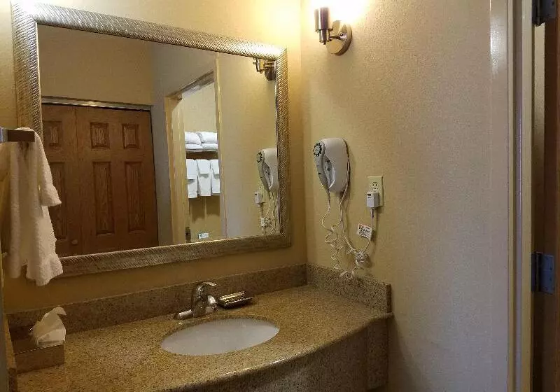 スイート, Staybridge Suites Rogers   Bentonville, An Ihg