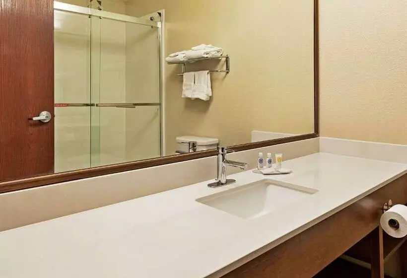 キングサイズベッドのスタンダードルーム, Comfort Inn Whitehall Near Michigan S Adventure