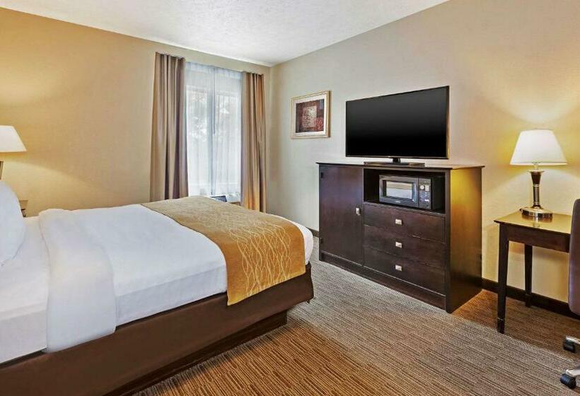 스탠다드 룸 킹사이즈 침대, Comfort Inn Whitehall Near Michigan S Adventure