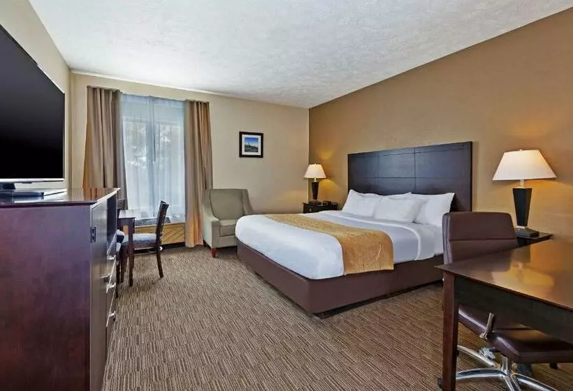 キングサイズベッドのスタンダードルーム, Comfort Inn Whitehall Near Michigan S Adventure