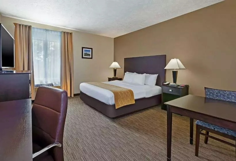 キングサイズベッドのスタンダードルーム, Comfort Inn Whitehall Near Michigan S Adventure
