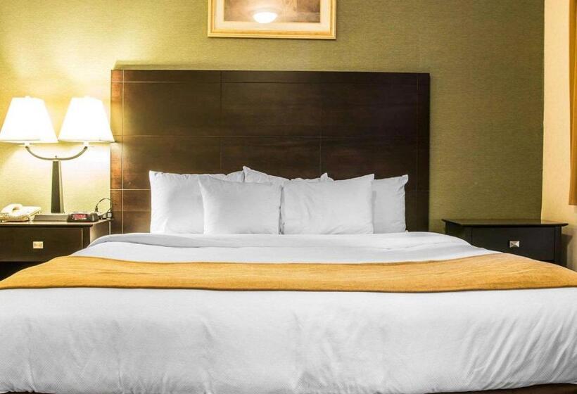 스탠다드 룸 킹사이즈 침대, Comfort Inn Whitehall Near Michigan S Adventure