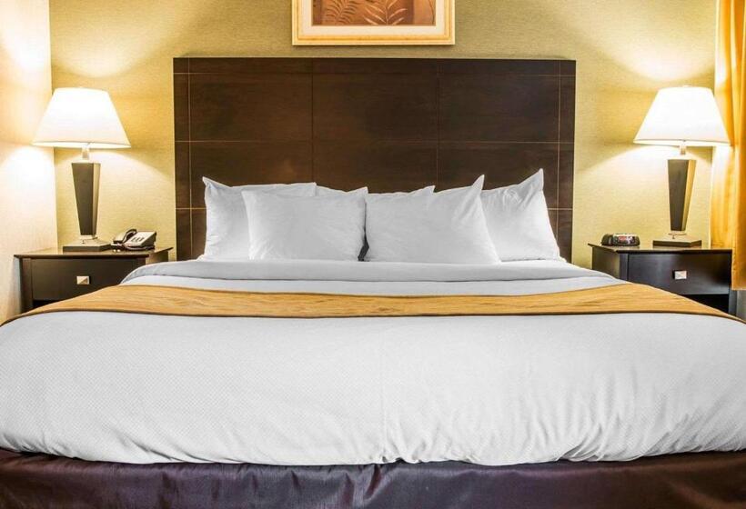 Стандартный Номер Кровать Кинг, Comfort Inn Whitehall Near Michigan S Adventure
