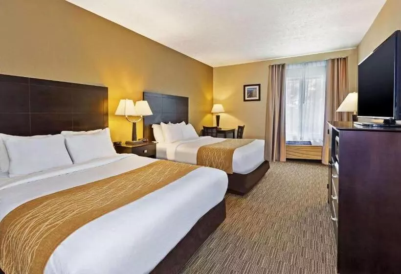スタンダードルーム, Comfort Inn Whitehall Near Michigan S Adventure