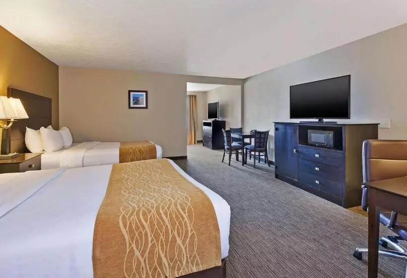 スタンダードルーム, Comfort Inn Whitehall Near Michigan S Adventure